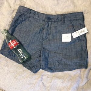 Summer Shorts ☀️